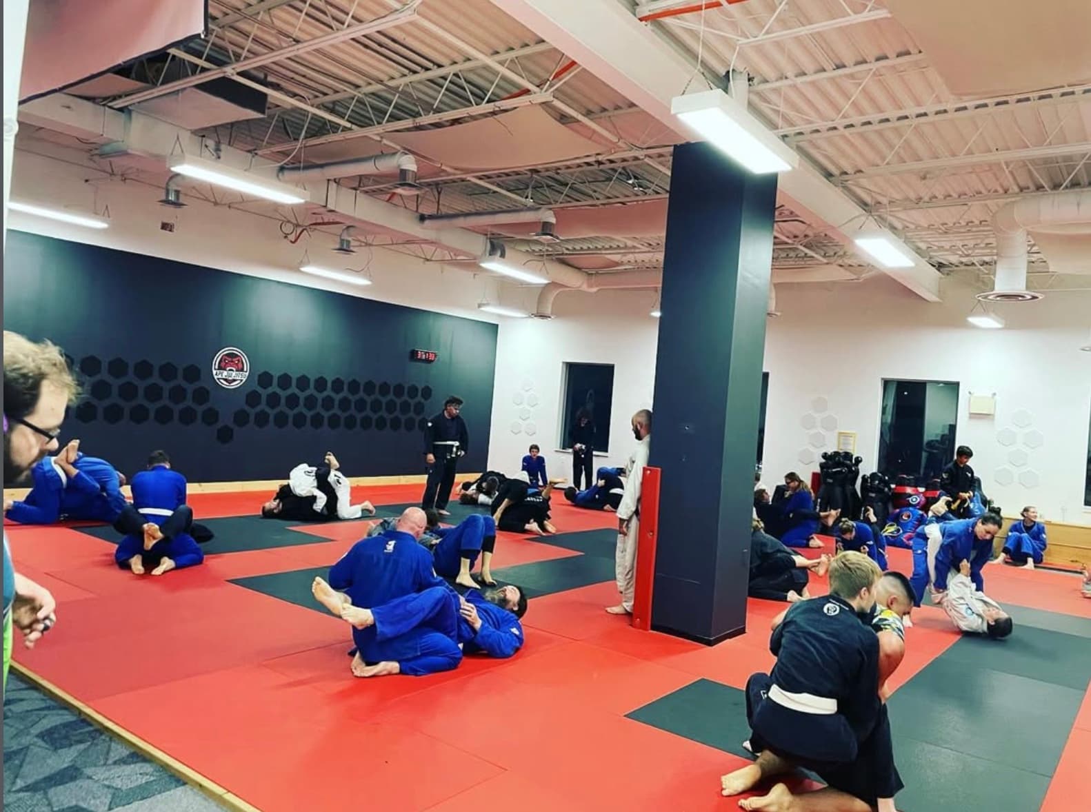 The adult jiu jitsu class at Seng's, around twenty-five students rolling in gis across the red and grey mat, under the Ape Jiu Jitsu crest and the round timer.